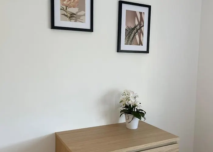 Cocon Du Sud Talence